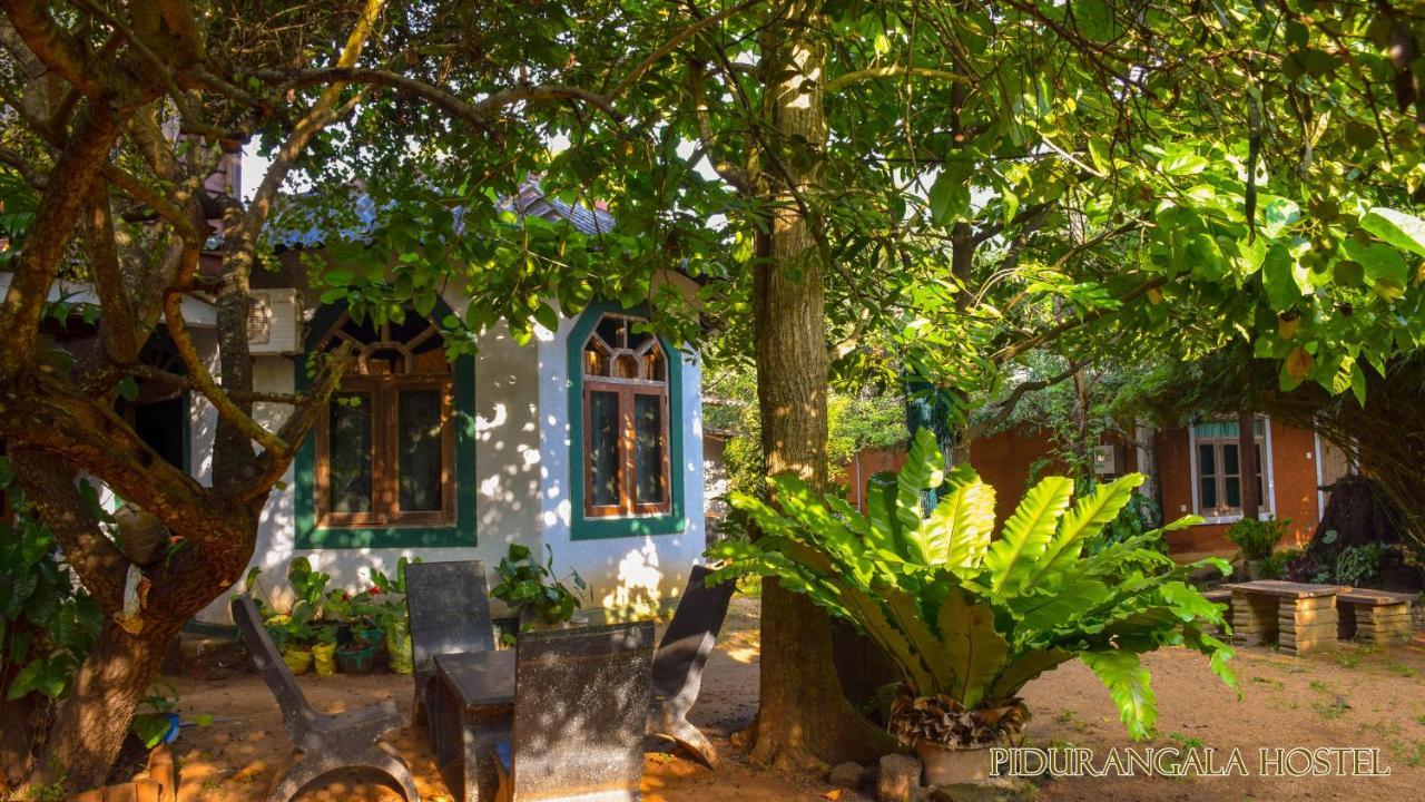 Pidurangala Hostel Sigiriya Exterior foto