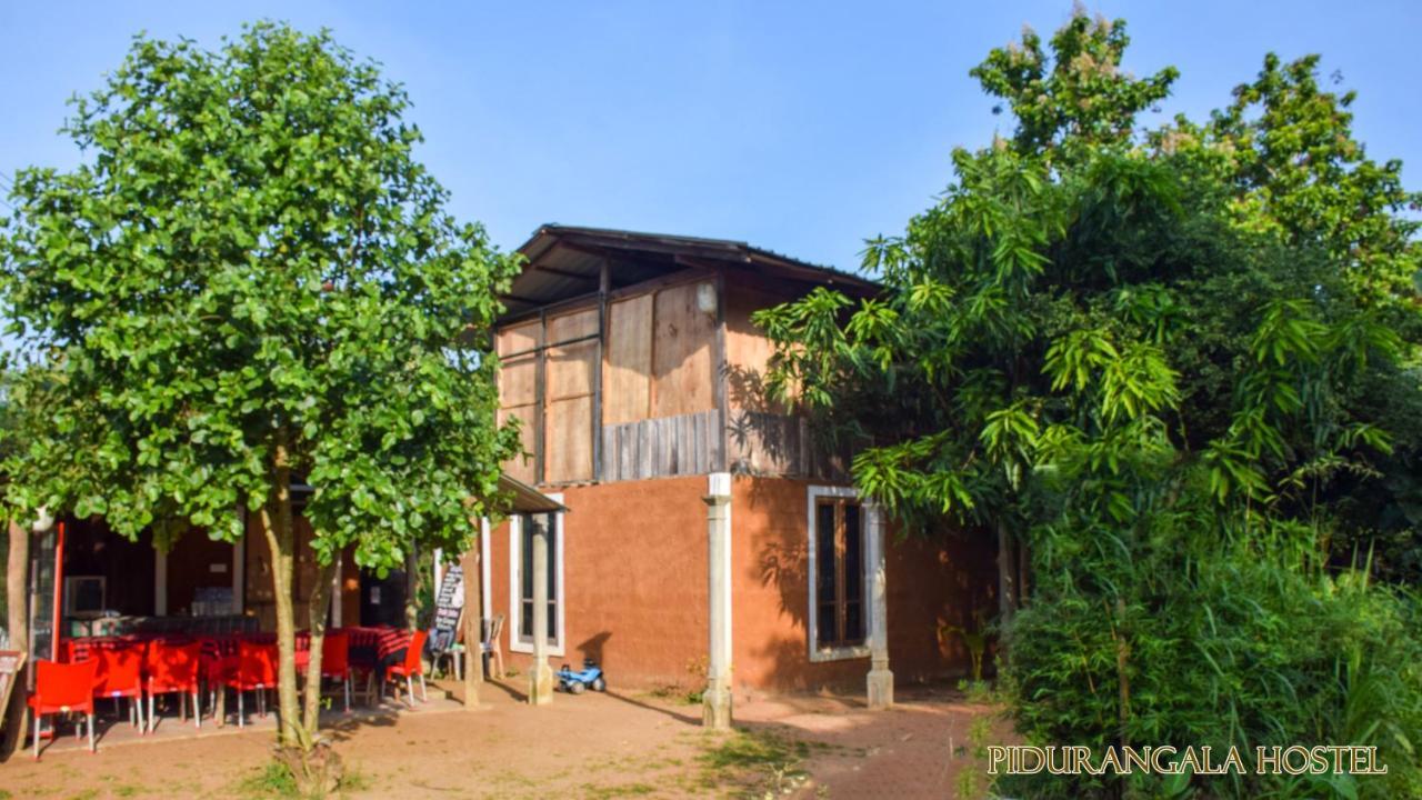 Pidurangala Hostel Sigiriya Exterior foto