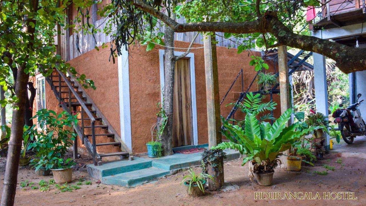 Pidurangala Hostel Sigiriya Exterior foto